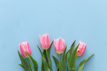 bouquet of pink tulips over pastel blue wooden background. Top view