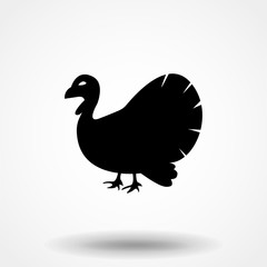 Turkey bird black silhouette animal