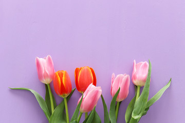 bouquet of orange and pink tulips over pastel purple wooden background. Top view