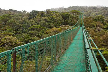 Fototapeta na wymiar Hanging bridge in Monteverde reserve in Costarica