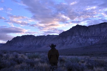 Cowgirl in fringe silhouette 