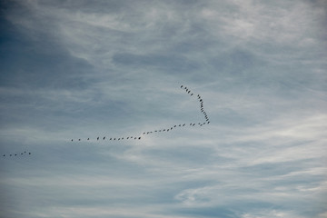 blue sky with clouds