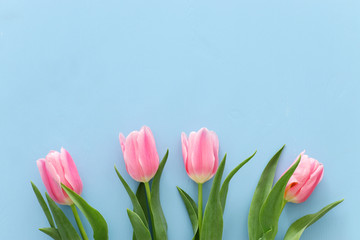 bouquet of pink tulips over pastel blue wooden background. Top view