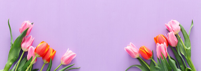 bouquet of orange and pink tulips over pastel purple wooden background. Top view. banner