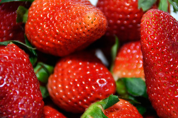 ripe red spring strawberries