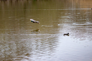 Nice walk in the afternoon