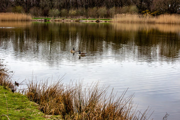 Nice walk in the afternoon