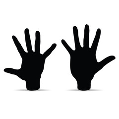 hans vector illustration