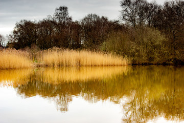 Nice walk in the afternoon