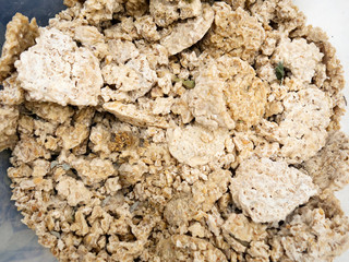 Traditional Turkish culture in winter tarhana -