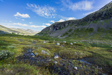 Landscape and nature at the upper part of the Valldalen Valley towards Trollstigen, Sunnmore, More og Romsdal, Norway