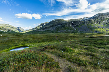 Landscape and nature at the upper part of the Valldalen Valley towards Trollstigen, Sunnmore, More og Romsdal, Norway