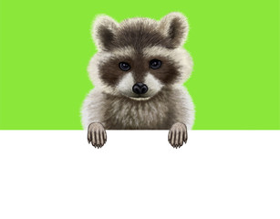 Raccoon on a green background holding a white billboard