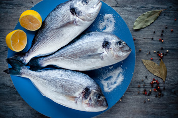 Fresh dorada fish on blue board.