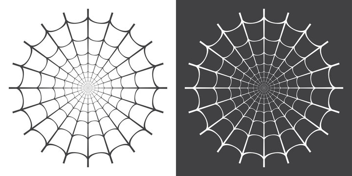 Vector illustration of spider web