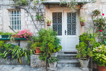 Fototapeta na wymiar entrance door with plants and flowers