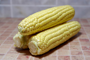 Corn on the kitchen table