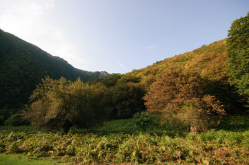 Obraz premium Beautiful landscape in the mountains with the sun at dawn. Mountains at the sunset time. Azerbaijan Caucasus Mountains. Nobody
