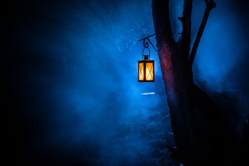 Beautiful colorful illuminated lamp in the garden in misty night. Retro style lantern at night...
