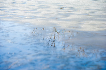 River quietly flowing flows through the forest in early spring