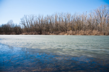 River quietly flowing flows through the forest in early spring