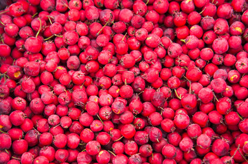 The harvest of hawthorn.