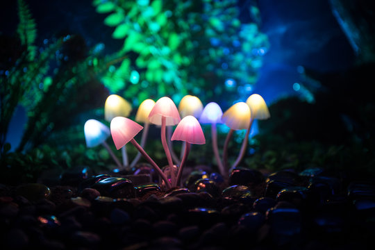 Fantasy glowing mushrooms in mystery dark forest close-up. Beautiful macro shot of magic mushroom or souls lost in avatar forest. Fairy lights on background with fog.