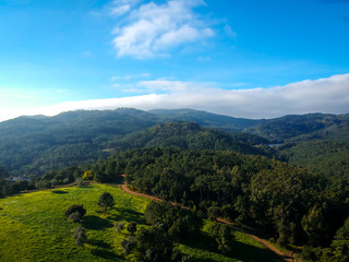 Naklejka premium Aerial view from a mountain covered by trees.