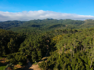 Aerial view from a mountain covered by trees.