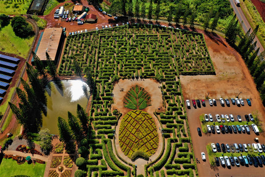 Dole Plantation Oahu - Luftbilder mit Drohne von der Dole Ananas Plantage