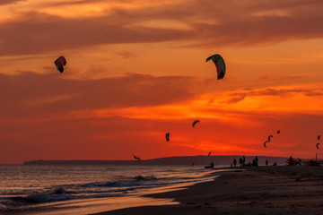 extreme group of professional kiters slide waves, jumps air on black sea with sail wing in hands led wind an sunset, onlookers photographers seagull on shore. village of annunciation. backlit, toned