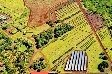 Dole Plantation Oahu