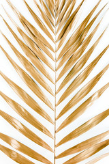 Gold tropical palm leaves on white background. Flat lay, top view minimal concept.