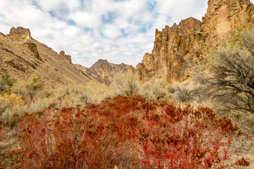 Nature landscape in Leslie Gulch Oregon with clouds and red bushes