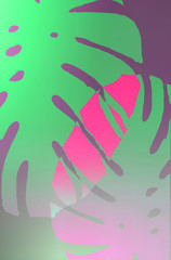 Monstera tropical exotic graphic