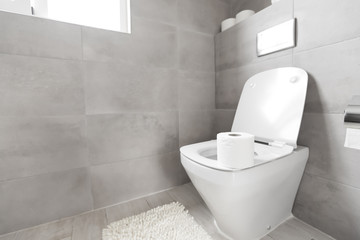 Roll of toilet-paper on seat at toilet