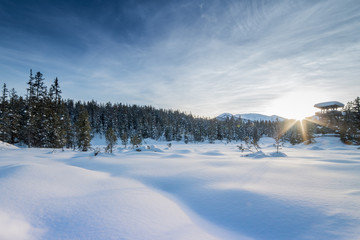 Fototapeta na wymiar dreamlike snow landscape tyrol