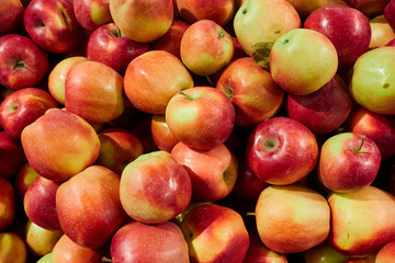 Delicious red apples as background. Close-up shooting