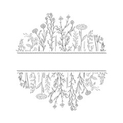 Hand drawn herbs and flowers background and place for text.