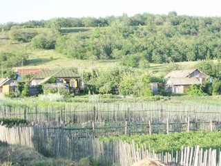 village in the forest