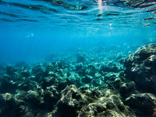 Texture of stones, earth, seabed with coral reefs and algae under blue-green water, underwater sea view, ocean in a tropical resort. Mediterranean sea. Greece. Background