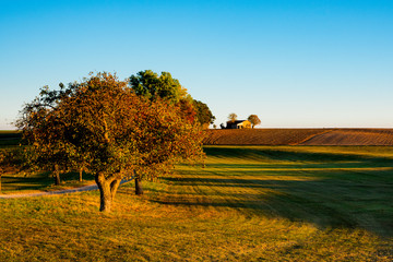 Fototapeta premium autumn scene along the route called Romantic Road, Germany. Blue sky and space for text