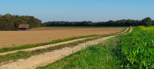 yellow grass and earth landscape in Weil, along route called Romantic Road, Germany , panorama