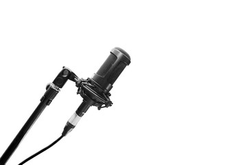 Microphone on tripod, monochrome on white background.
