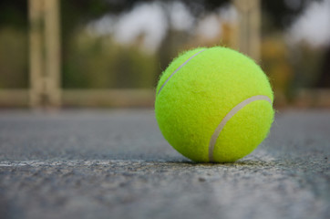 Tennis Ball Closeup