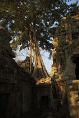 Naklejka premium angkor