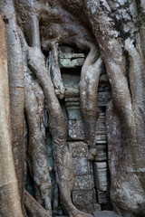angkor