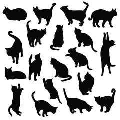 Set vector silhouettes of the cat, different poses, standing, jumping and sitting,  black color, isolated on white background