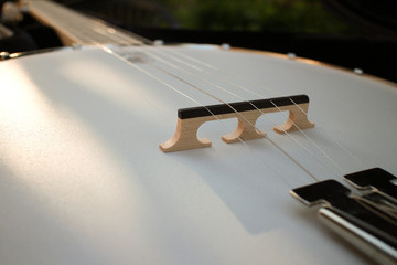 banjo strings and bridge close-up in the evening natural light