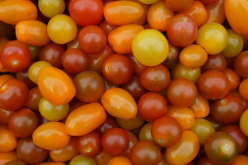 tomatoes at the market